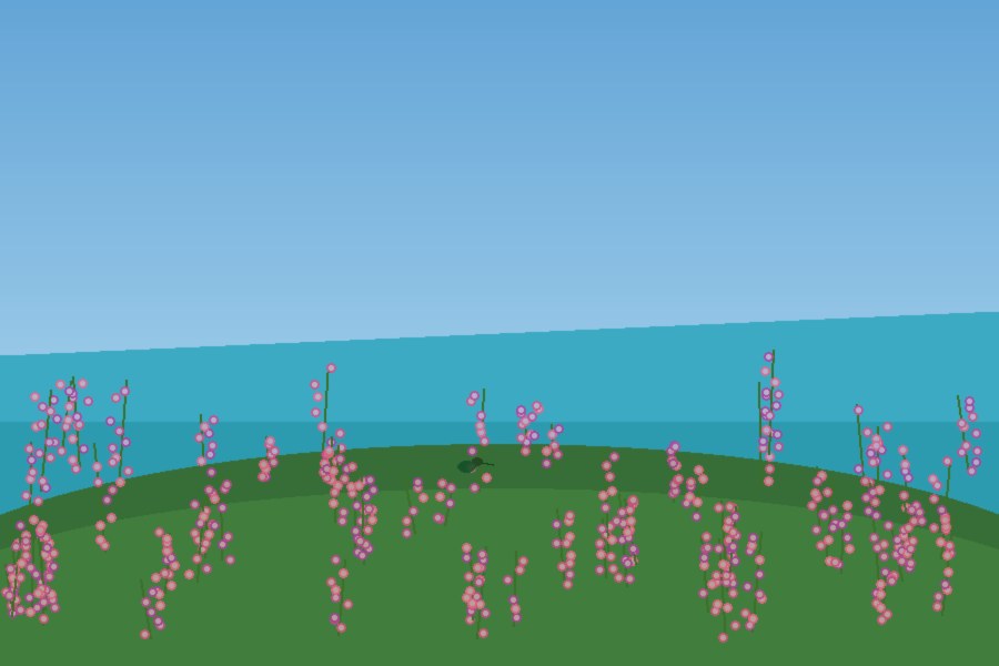 Erica and fynbos in bloom near Langebaan Lagoon in March, with the lagoon visible in the background